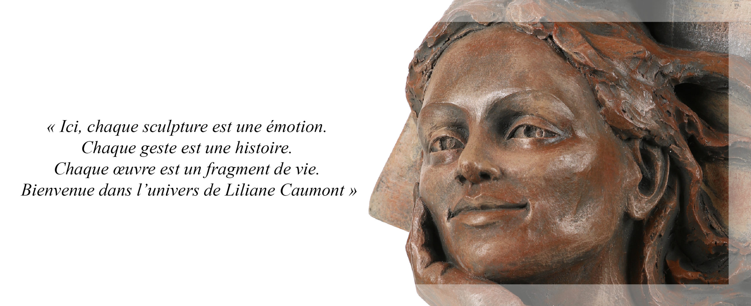 ACCUEIL LILIANE CAUMONT